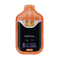 Boutiq Switch V4 (2g)