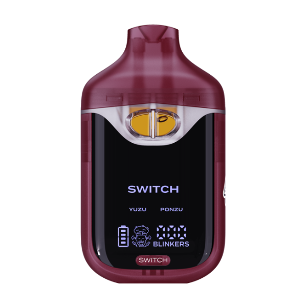 Boutiq Switch V4 (2g)